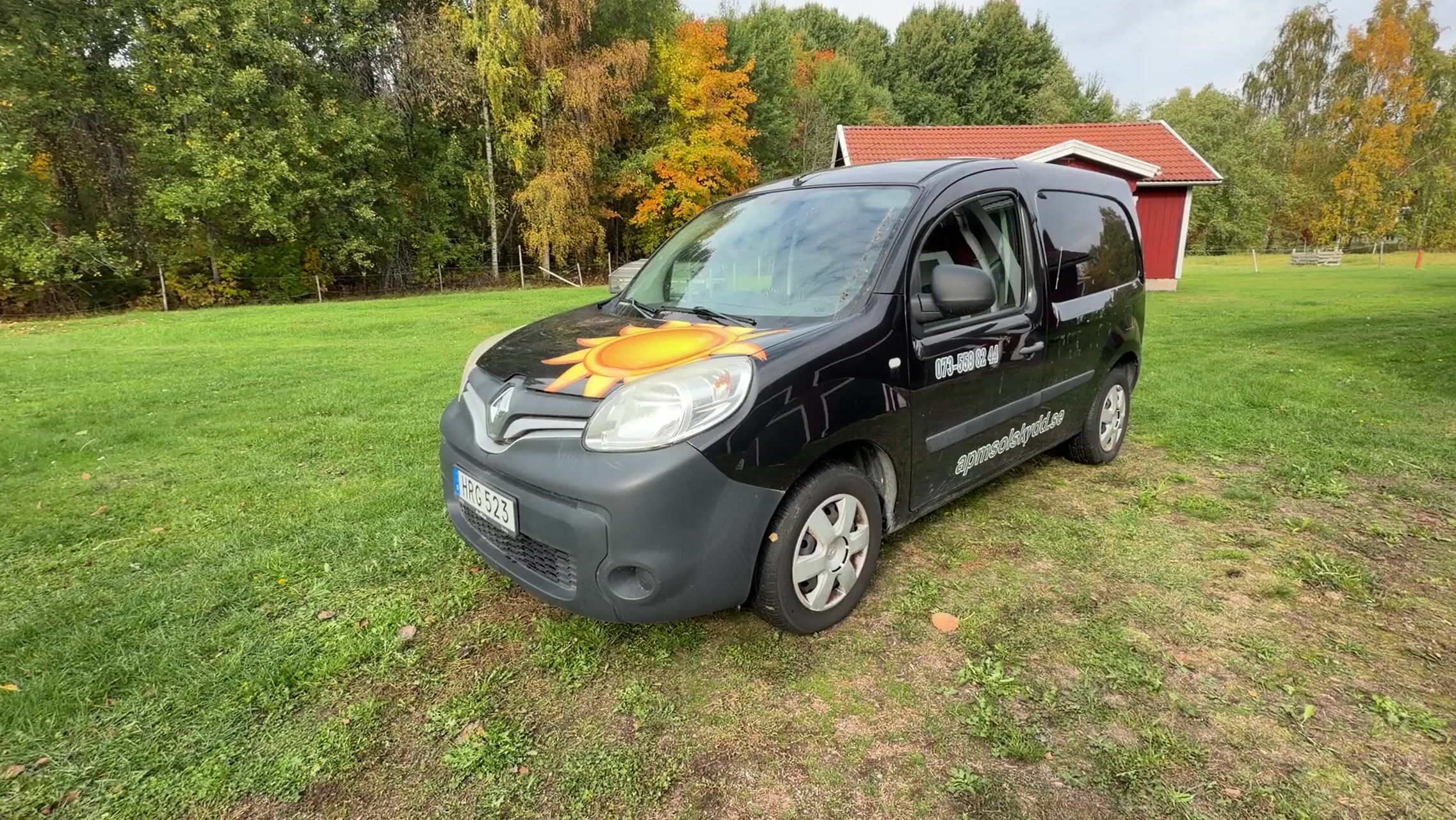 Renault Kangoo panel van, 2015