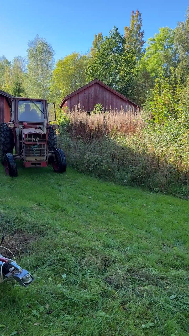 Traktor MASSEY FERGUSON 135 ALLM -1967 | DIESEL